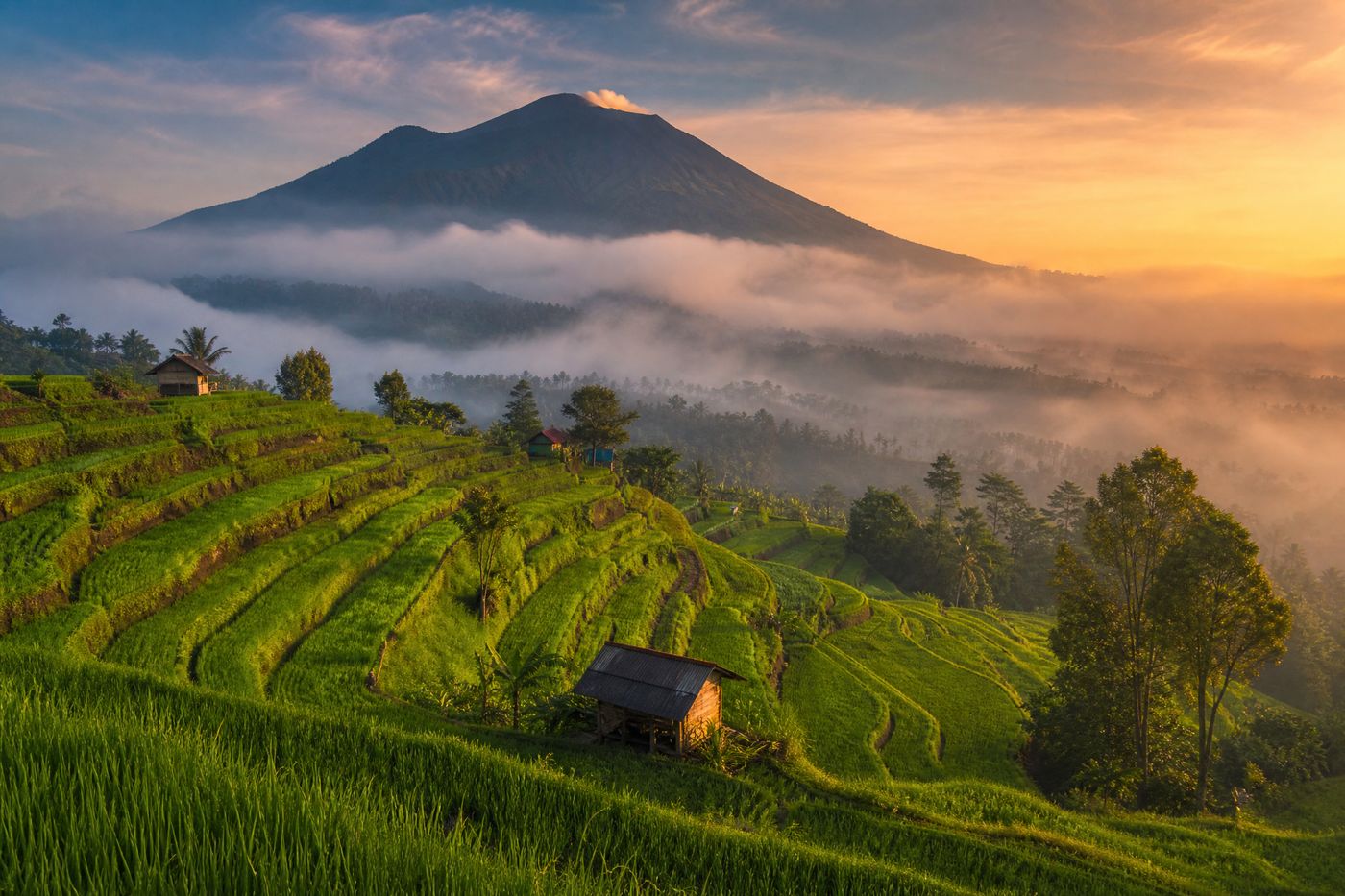 Hamparan persawahan terasering di Desa Kentengsari